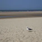 Daire Neu! Schaefer Naehe Carolinensiel *