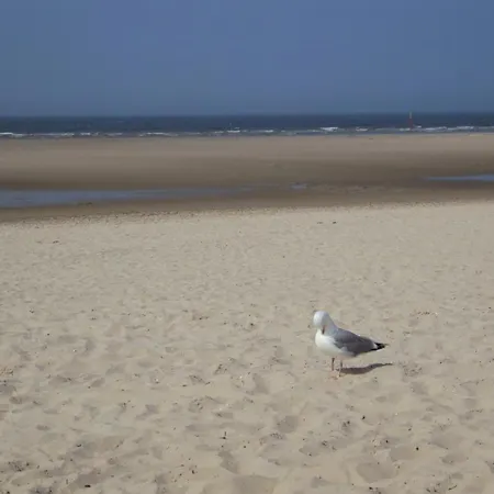 Lejlighed Neu! Schaefer Naehe Carolinensiel *