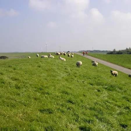 Neu! Schaefer Naehe Carolinensiel